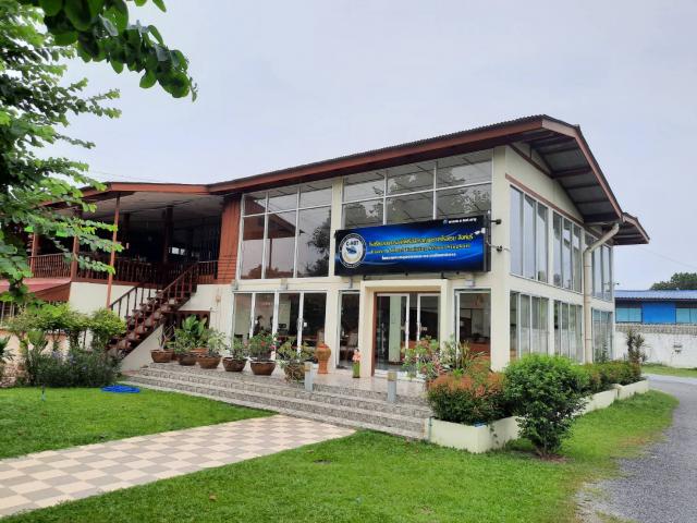 ��¸�áԨ ��Ҫ�ҧ�ԧ�����