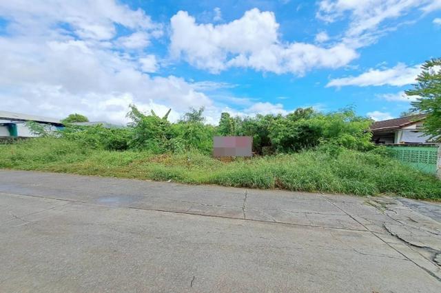 ���Թ ����������