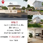 ��º�ҹ 11,384,000 �ҷ