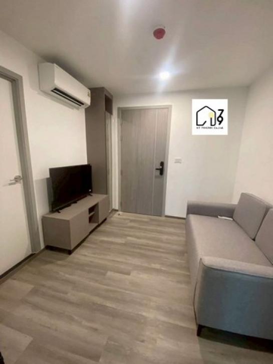 �͹����ͧ ���ͧ