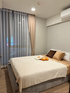 �͹����¢�ҧ ���¢�ҧ