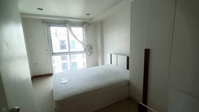 ��¤͹������� �ҹ���� ��ا෾