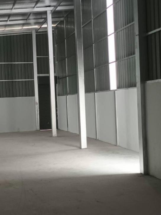 ⡴ѧ������ ������