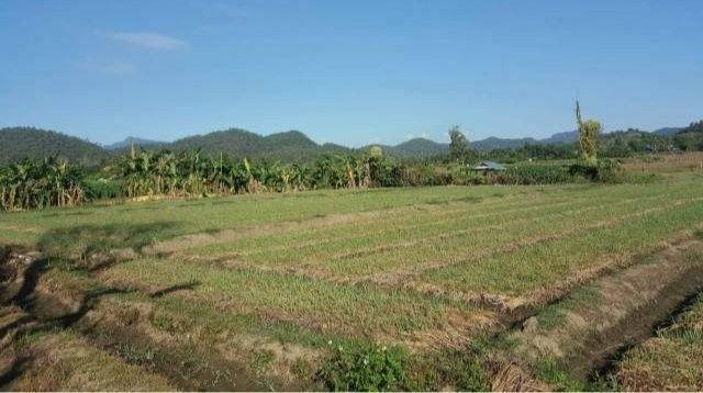 ���ͧ �� northern1