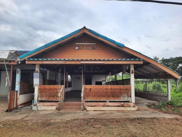 ��º�ҹ �ѧ�оا ���