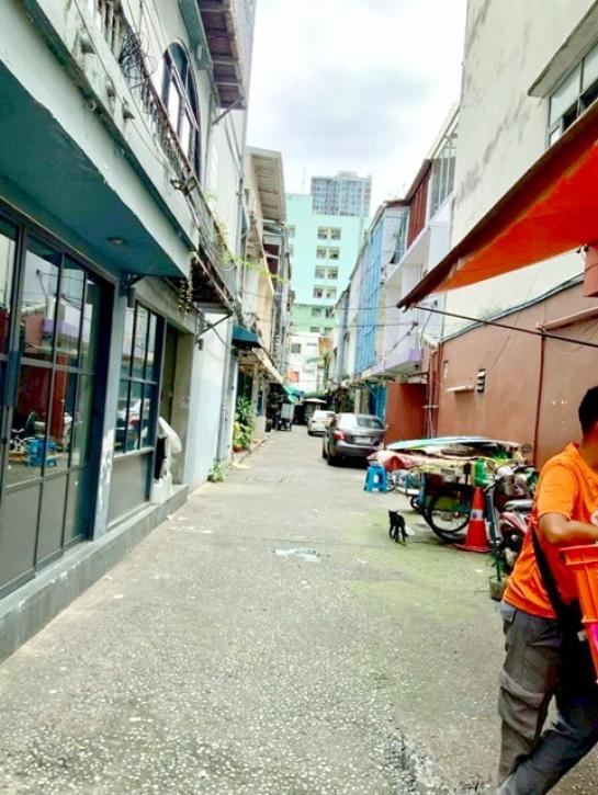 �Ҥ�þҳԪ�������� �Ҫ���