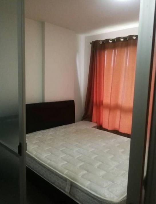 �͹����ͧ ���ͧ