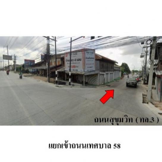 ��º�ҹ ��ҹ�ҧ���ͧ