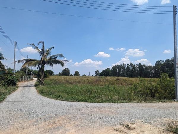 ���Թ 13 ���