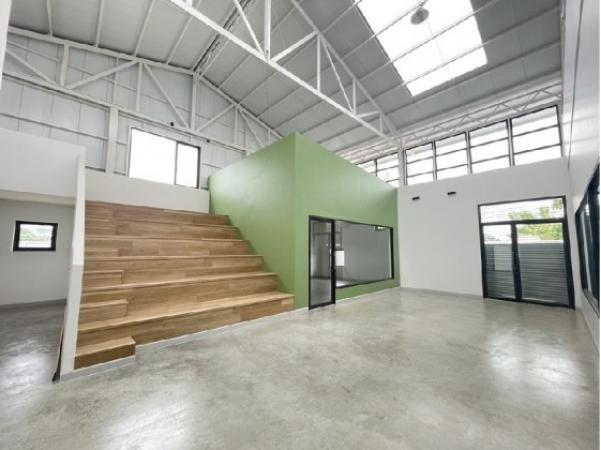 �ç�ҹ������ �ҧ�ع��¹