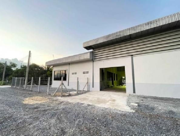 �ç�ҹ �������