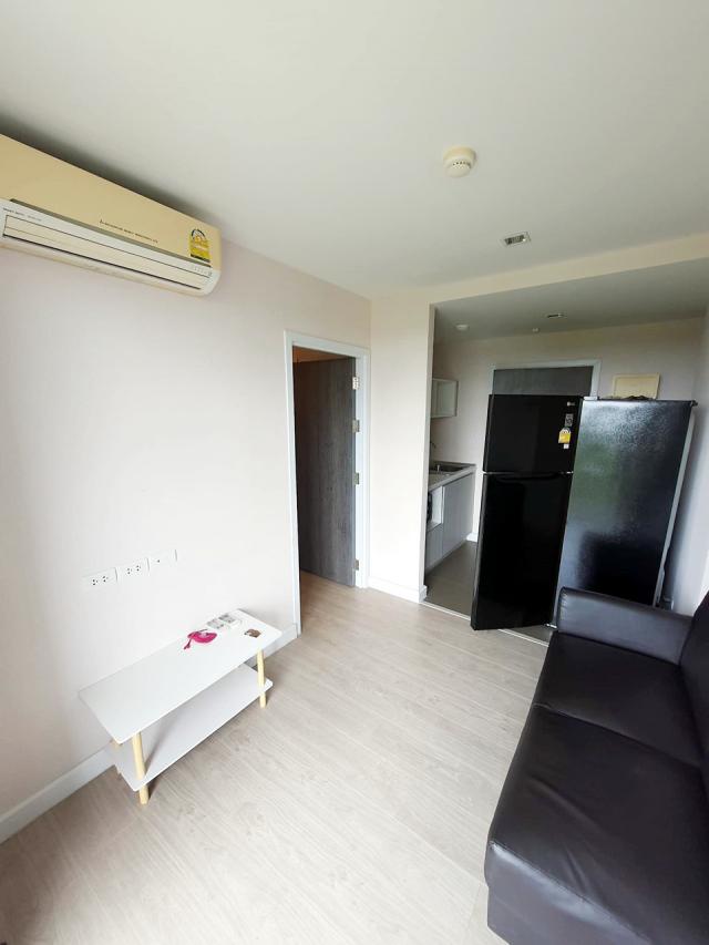 �͹������� ���ͧ������չ������