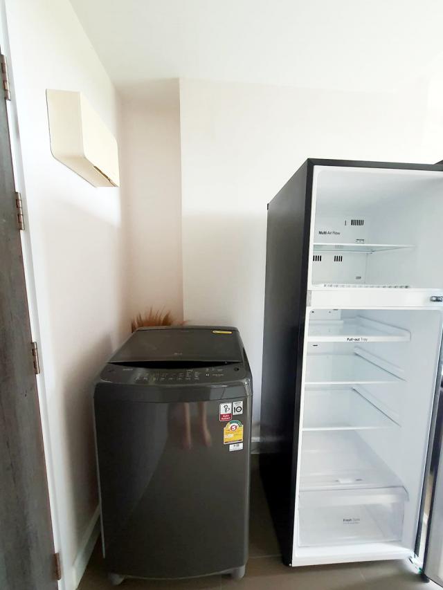 �͹������� ���ͧ������չ������