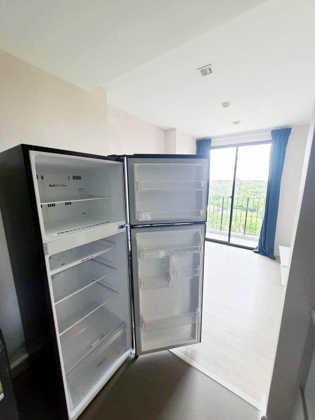 �͹������� ���ͧ������չ������