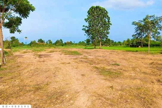 ���Թ �������