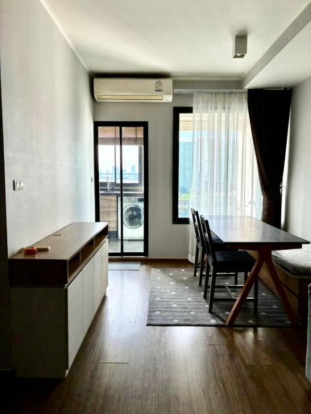 ��¤͹� �ҹ����