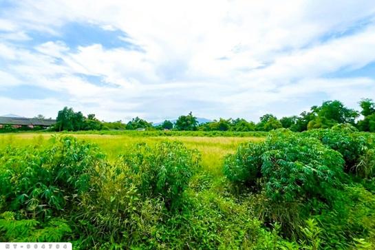 ���Թ ����ͧ