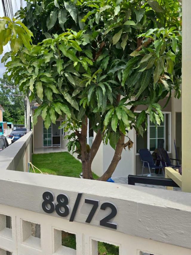 ��º�ҹ �ҧ���ا�ź���