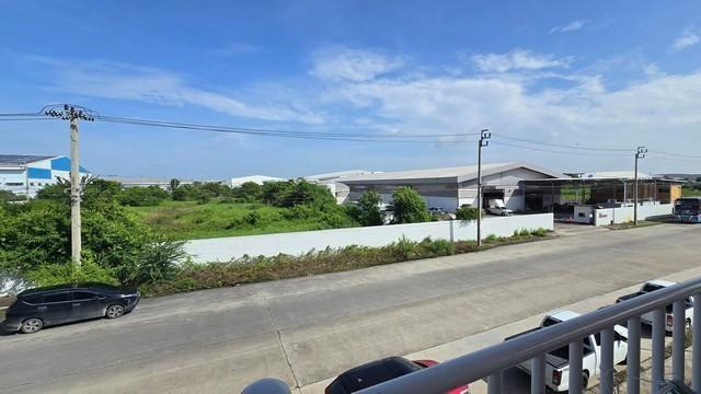 ����ç�ҹ �ҧ�����طû�ҡ��