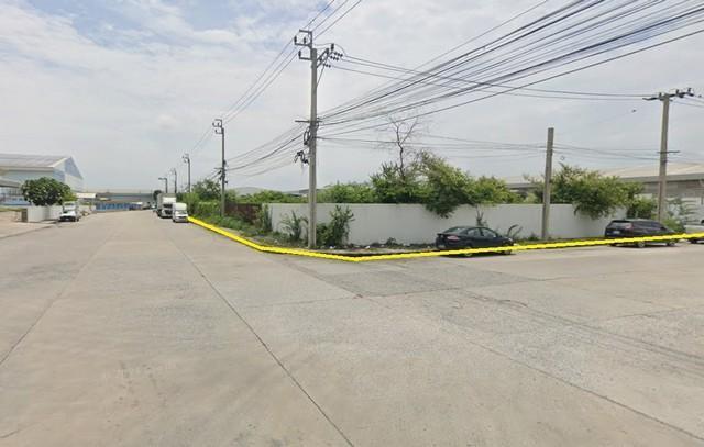 ����ç�ҹ �ҧ�����طû�ҡ��