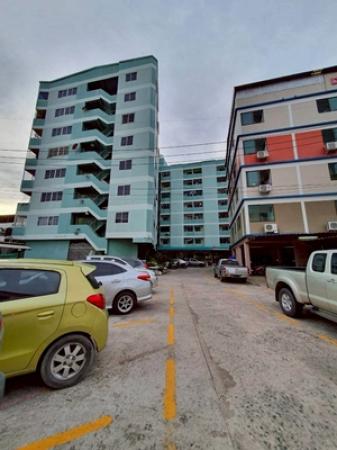 ��¤͹� 31���