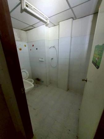 ��¤͹� ���ͧ���ԧ��ҩ��ԧ���