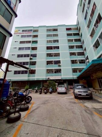 ��¤͹� 31���