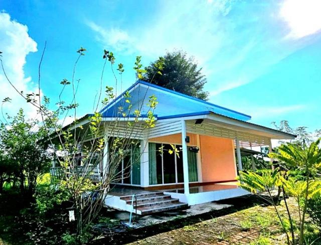 ��ҹ ��ù�¡