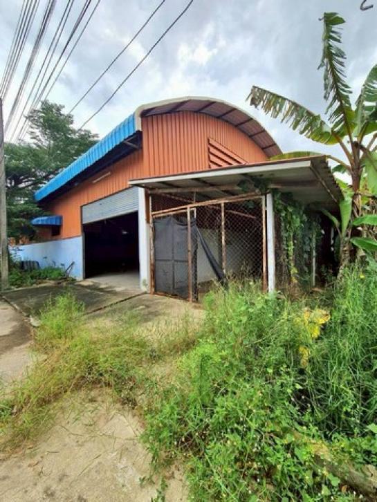 ���⡴ѧ ���ͧ���ԧ��� ���ԧ���