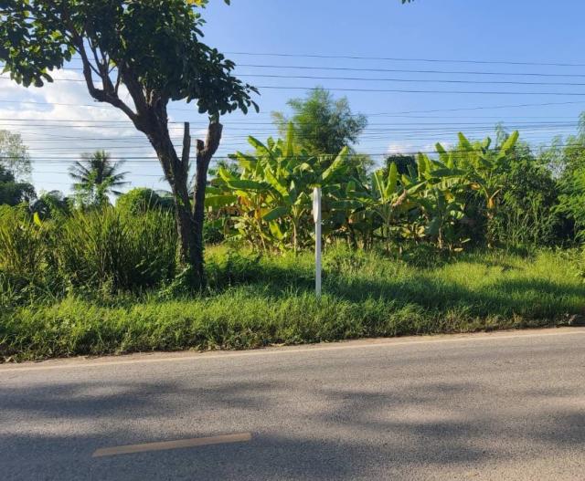 ���Թ���ͧ��ᾧྪ� ��ᾧྪ�