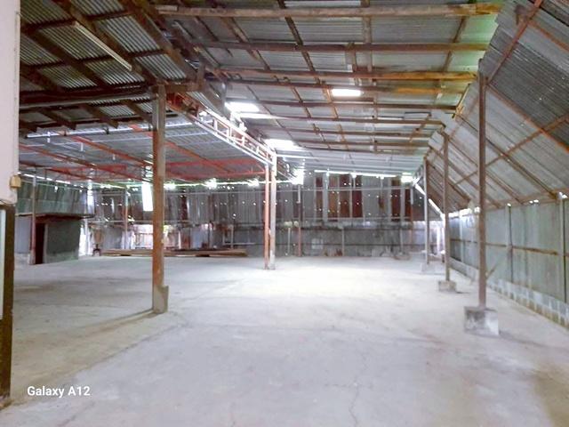 ⡴ѧ������ ˹ͧ��