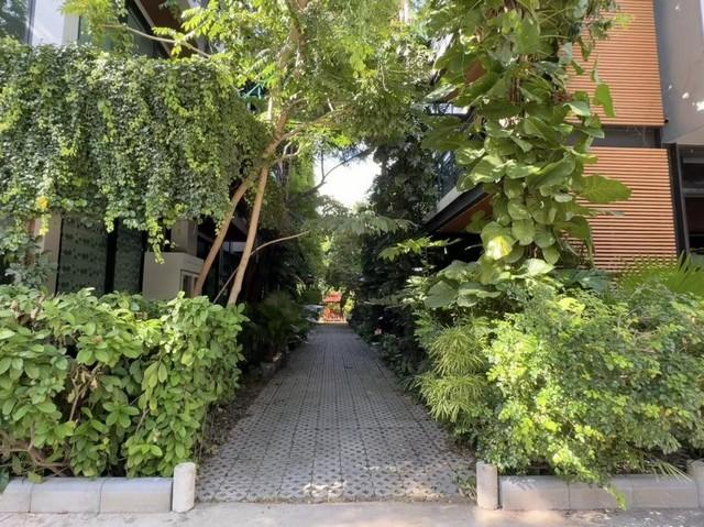 �Ҥ�þҳԪ�������� �ҧ�ҡ�ا෾