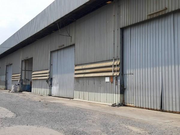 ⡴ѧ������ ������