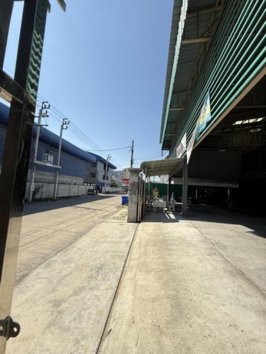 ���⡴ѧ �ҧ��Ƿͧ�������