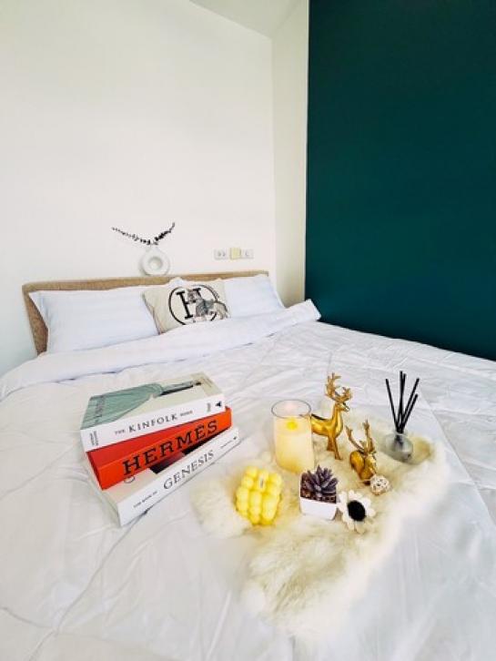 คอนโด 123 คอนโด 123