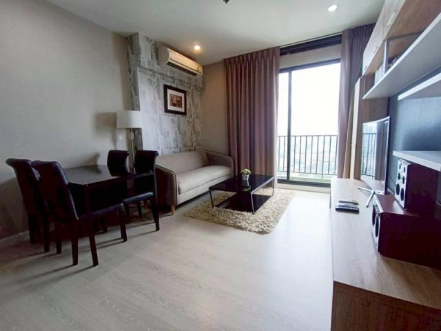 �͹���ͧ��� ���¢�ҧ