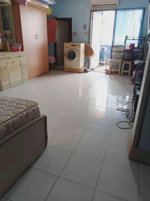 ��¤͹� 31���