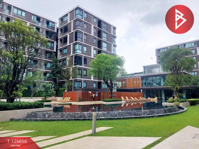 ��¤͹� �Ҵ�����