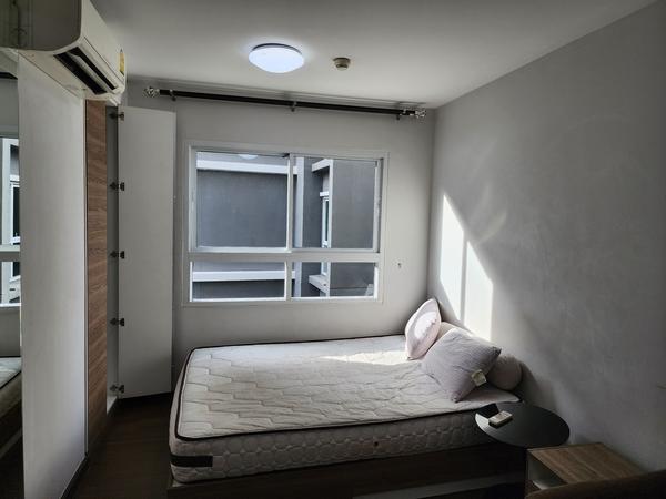 ��¤͹� 31���