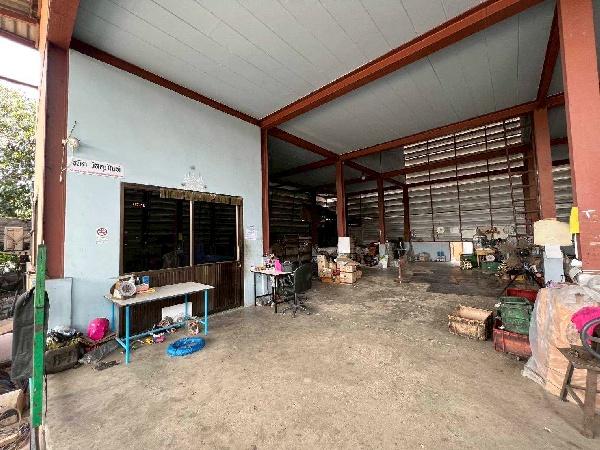 ���⡴ѧ �ҧ�ع��¹��ا෾