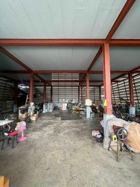 ���⡴ѧ �ҧ�ع��¹��ا෾