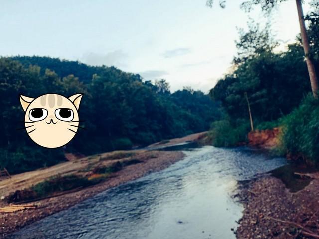 ���Թ ��ҹ