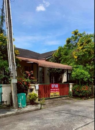 ��º�ҹ ��ҹ�ҧ���ͧ