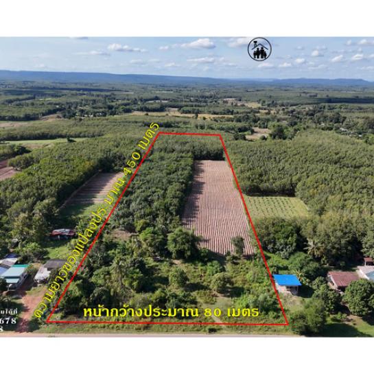 ���Թ 21 ���