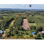 ���Թ�ǹ�ҧ����