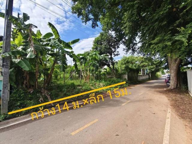 ขายที่ดิน 790,000 บาท ขายที่ดิน 790,000 บาท