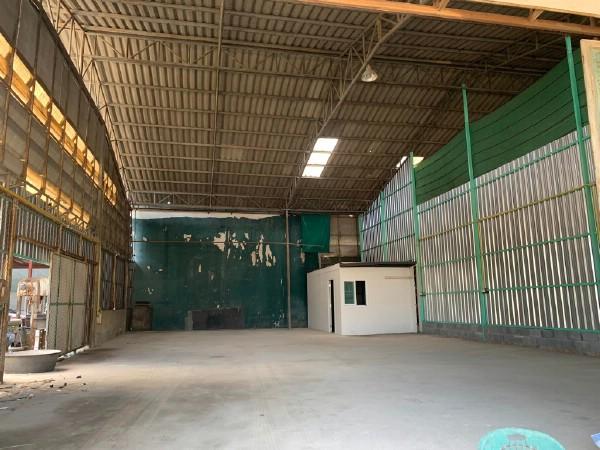 ⡴ѧ������ �ҧ�