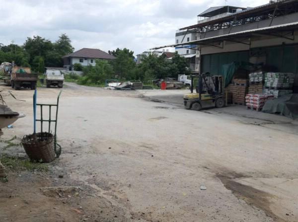 ⡴ѧ������ �ҧ�