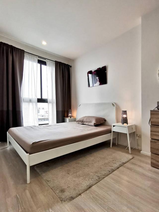 ��¤͹� �Թᴧ