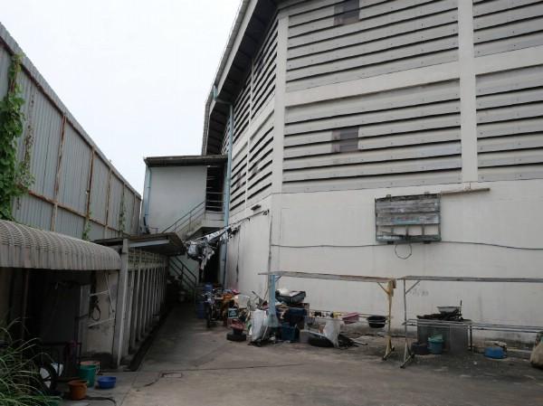 �ç�ҹ������ �ҧ�ع��¹��ا෾